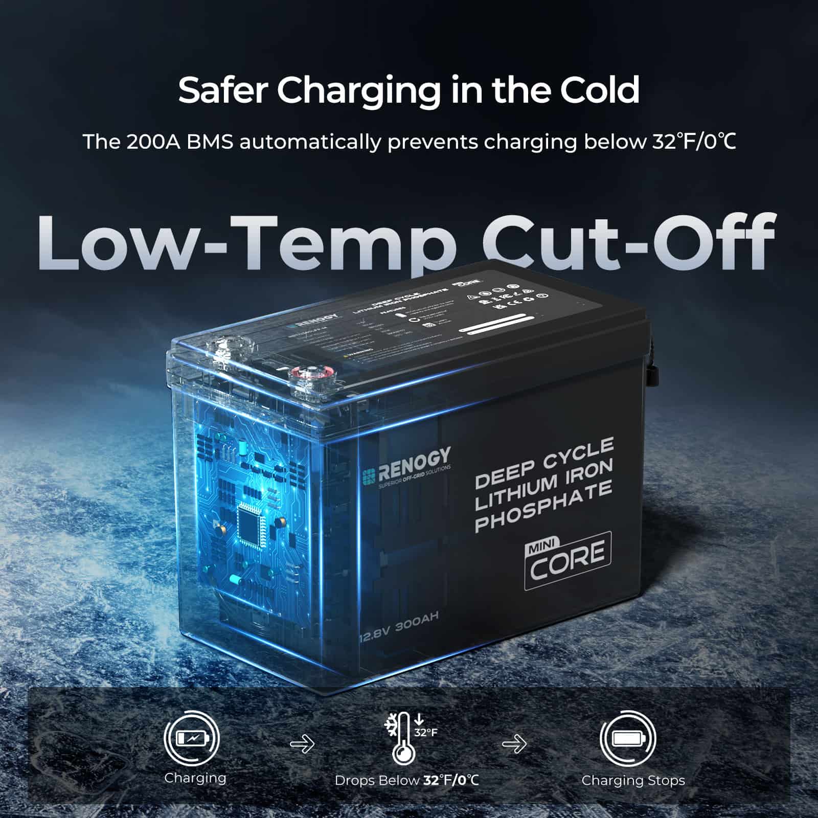 Renogy Core Mini - LiFePO4 12.8V 300/200/100Ah Lithium Batteries - Image 28